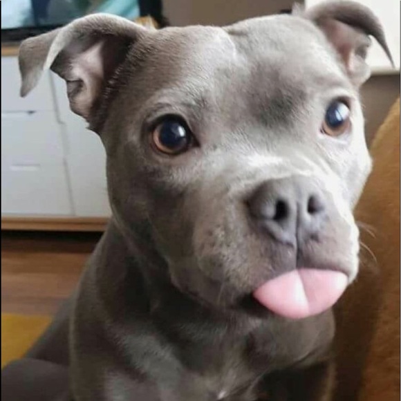 A HAPPY FRIDAY TO EVERYONE!!!! - Picture 3 of 3